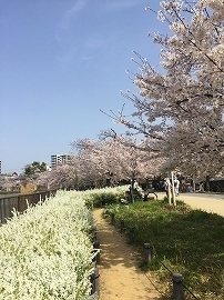 image1 (6).jpg