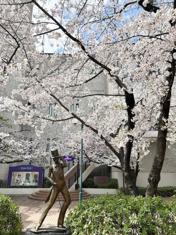 2025cherryblossom1.jpg