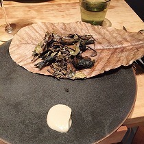 IMG_0014.jpg