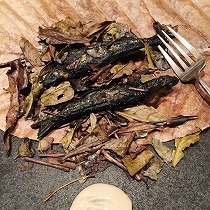 IMG_0016.jpg
