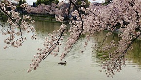 IMG_0770.jpg