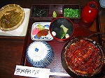 IMG_1337.jpg
