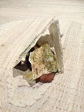 IMG_1867.jpg