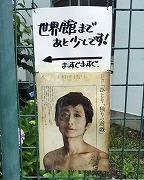 IMG_1905.jpg