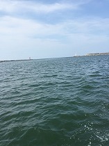 IMG_2430.jpg