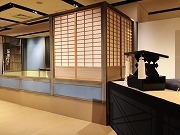 IMG_2781.jpg