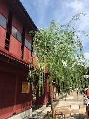 IMG_2806.jpg