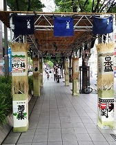 IMG_3132.jpg