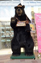 IMG_3169.jpg
