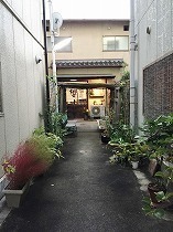 IMG_3828.jpg