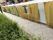 IMG_4409.jpg