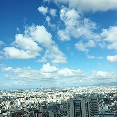 IMG_4846.jpg