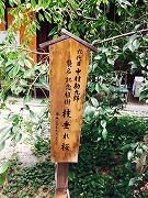 IMG_4915.jpg