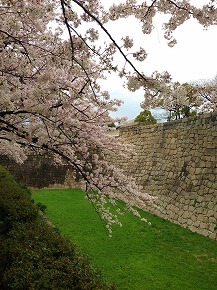 IMG_4956.jpg