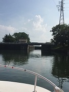 IMG_5684.jpg