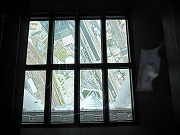 IMG_5707.jpg
