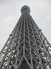 IMG_5725.jpg