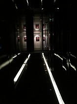 IMG_6491.jpg