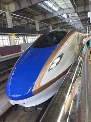IMG_6596.jpg