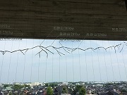IMG_6895.jpg