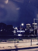 IMG_7429.jpg