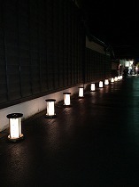 IMG_7434.jpg