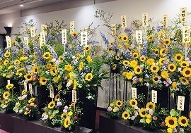 IMG_7508.jpg