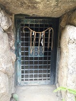 IMG_7761.jpg