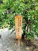 IMG_8347.jpg