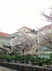 IMG_8480.jpg