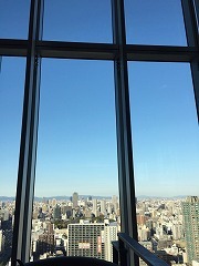 IMG_8511.jpg