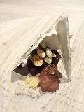 IMG_9892.jpg