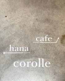 corolle5.jpeg