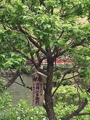 dazaifu16.jpg