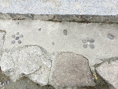 dazaifu18.jpg