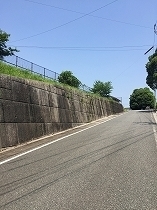 image1.jpg