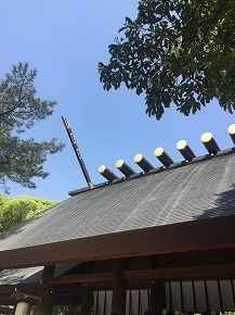 image1.jpg