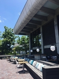 image1.jpg