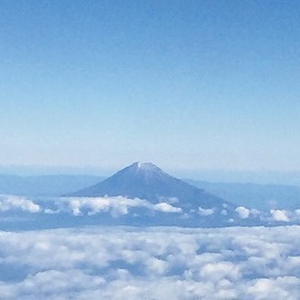 image1.jpg
