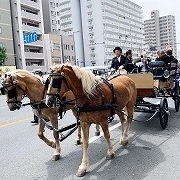 image1 (12).jpg
