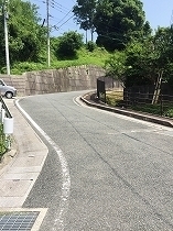 image1 (14).jpg