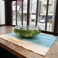 image1 (18).jpg