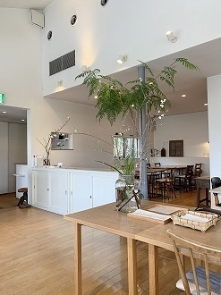 image1 (18).jpg