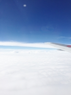 image1 (4).jpg