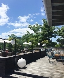 image1 (8).jpg