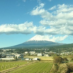 image2.jpg
