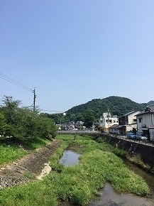 image2 (10).jpg