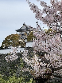 image2 (14).jpg