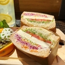 image2 (4).jpg