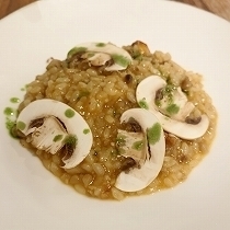 image2 (5).jpg
